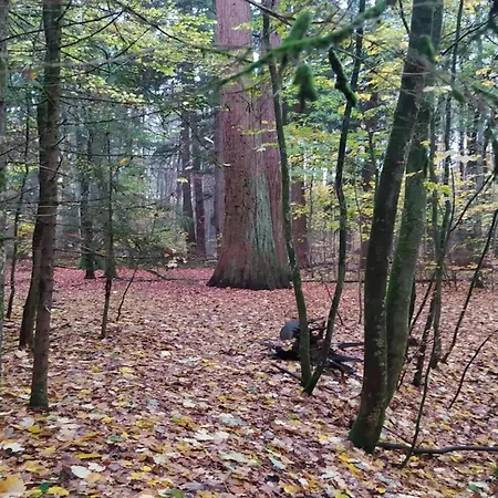 In Wendorf, Cleaning Included Wendorf (Kuhlen-Wendorf)